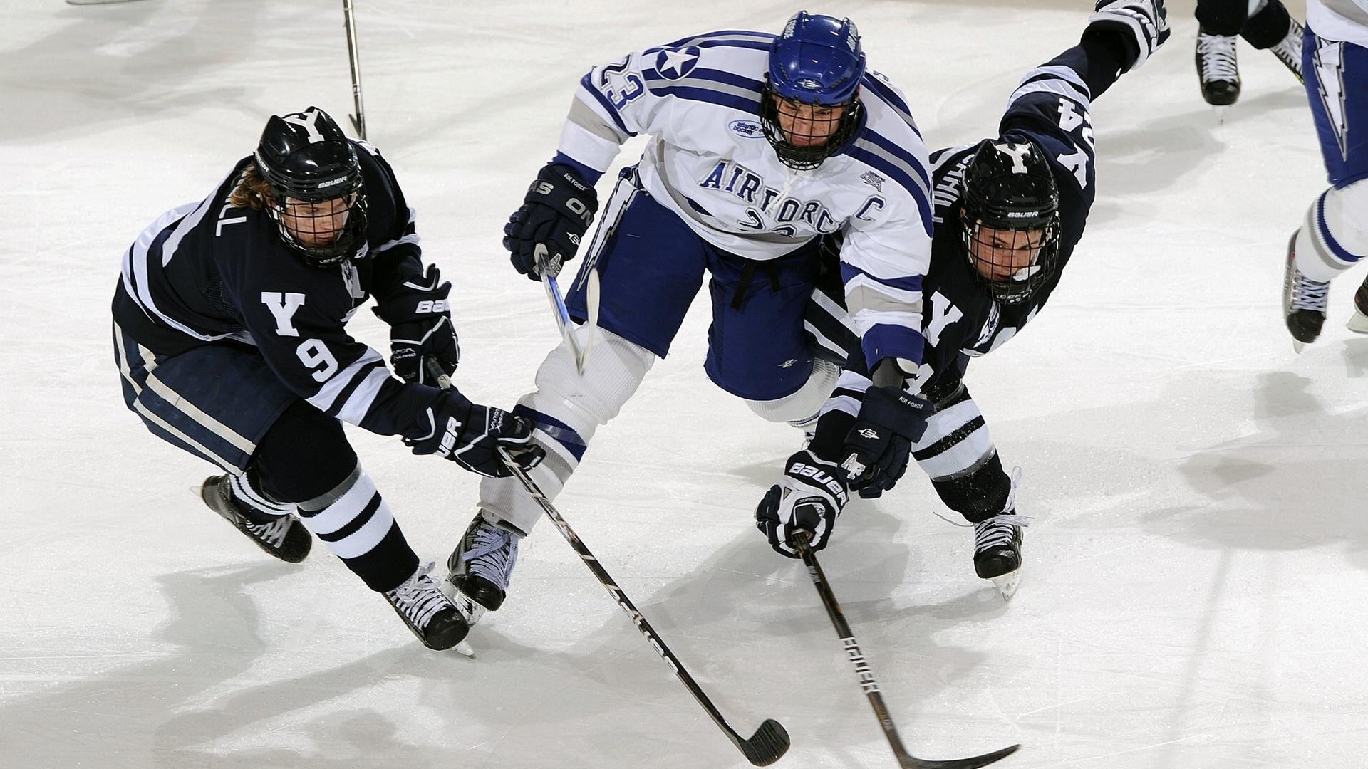 传统舞龙舞狮竞技,喜庆中展现运动魅力