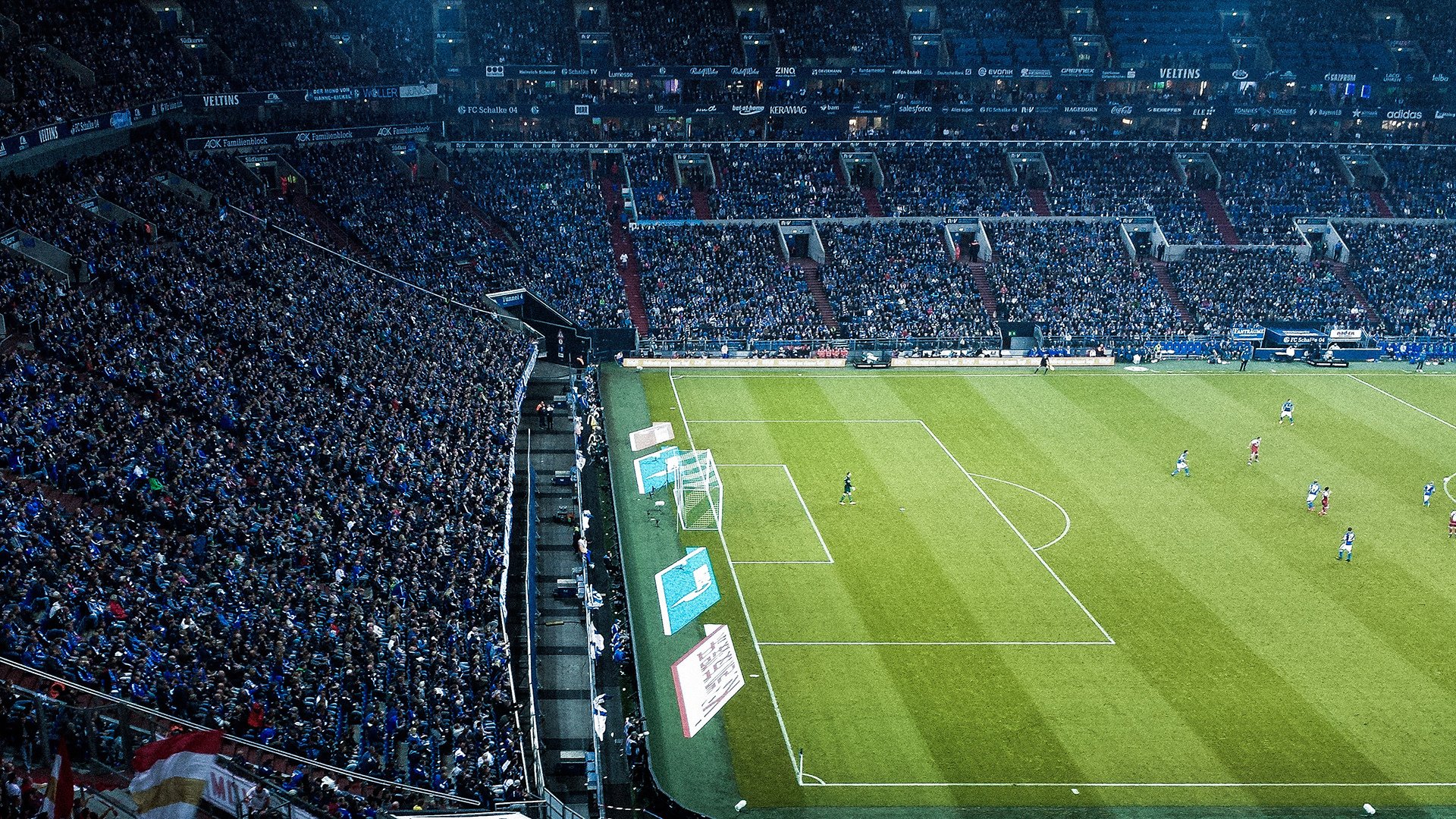 潜力黑马:一批“黑马”新星大揭秘,未来可期,黑马潜力股是什么意思