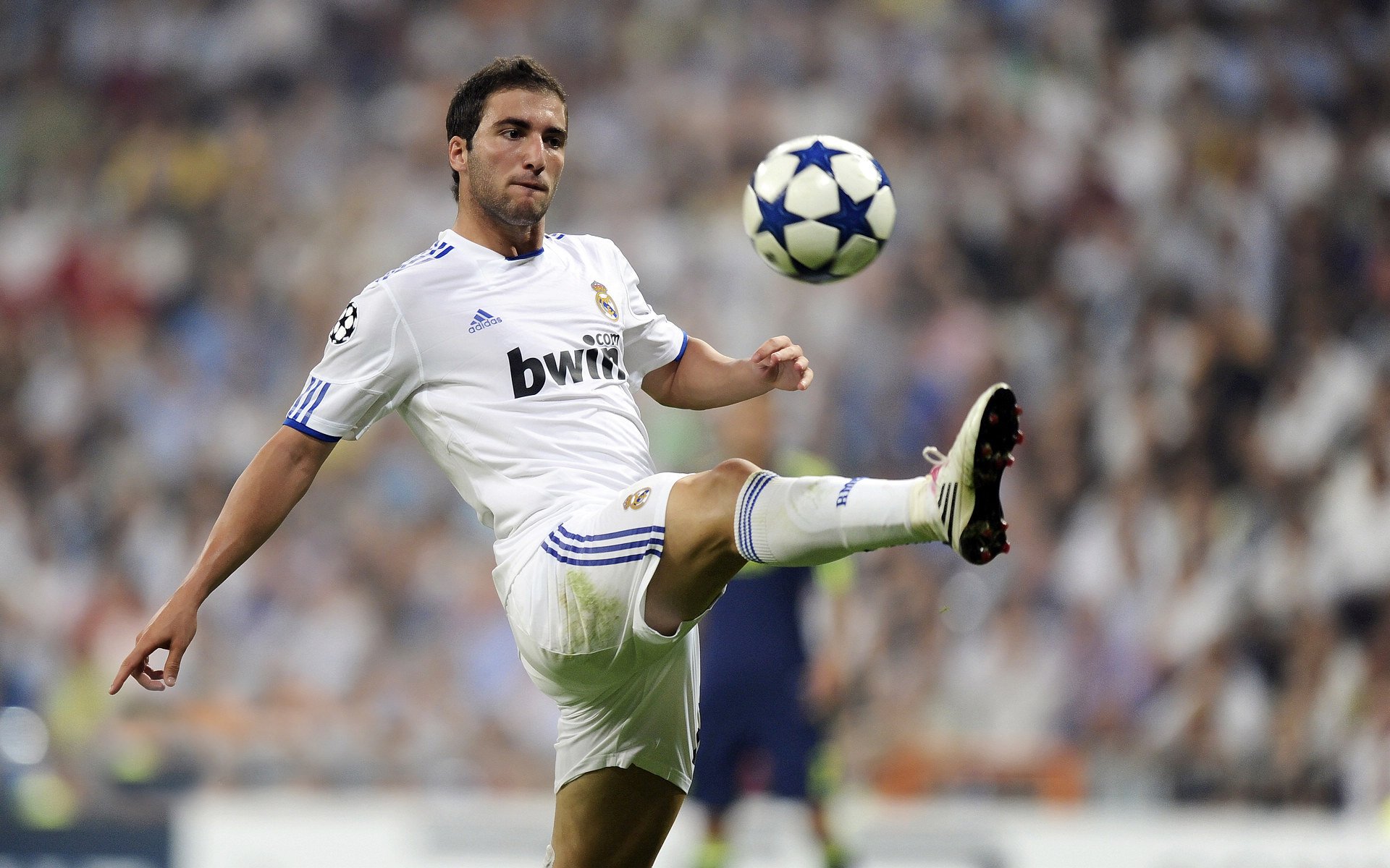 青训产业链“数字+智能”在行业内持续升级，行业迎来高质量大发展新机遇